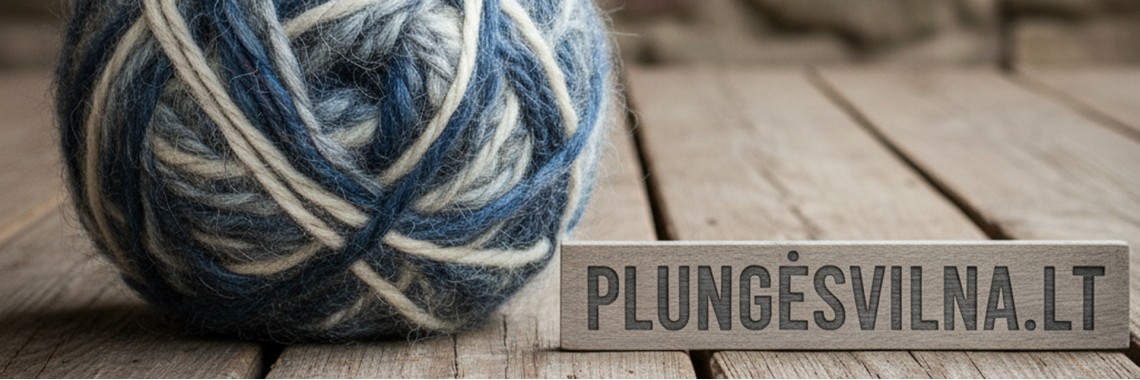 Plungės Vilna