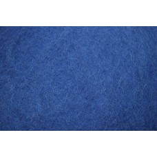 Mėlynos spalvos karšinys (Naujiena)