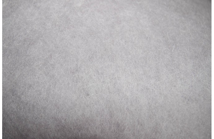 Pelenų spalvos karšinys