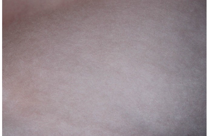 Sakurų spalvos karšinys