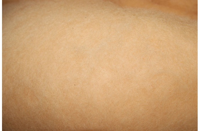 Smėlio spalvos karšinys | Vilna vėlimui