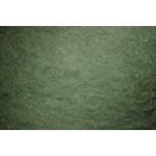 Žalsvos spalvos karšinys