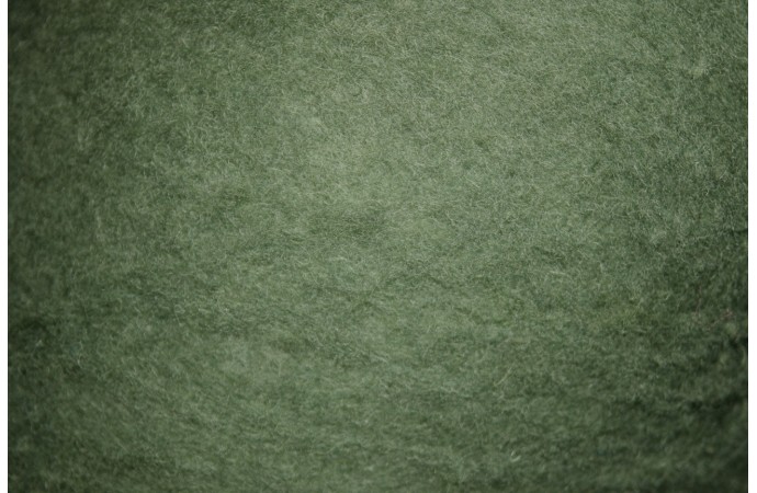 Žalsvos spalvos karšinys