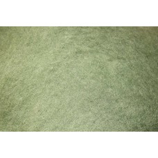 Žolės spalvos karšinys (Naujiena)